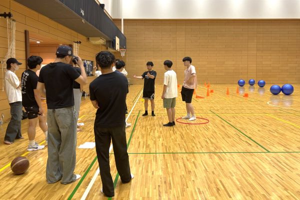 シミュレーションの様子