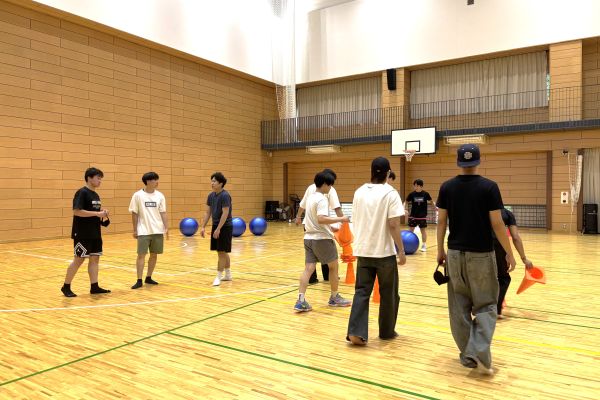シミュレーションの様子
