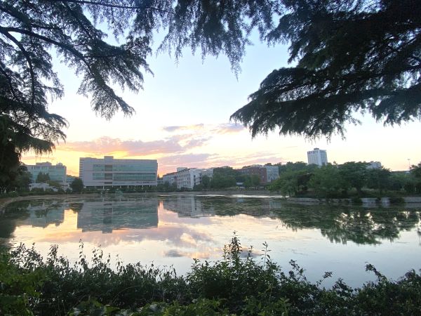 建国大学のキャンパスの風景