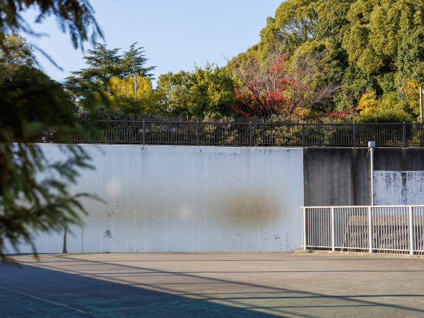 近所の壁打ちコート