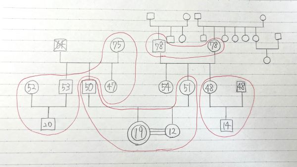 学生が作成したジェノグラム